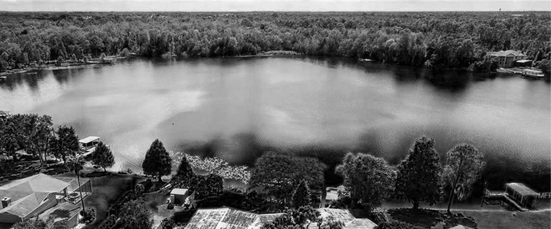 A wide black and white aerial photograph of Lake Irma, showing residential properties and docks in the foreground, calm reflective lake waters, a dense, wooded shoreline directly across, and a vast canopy of trees stretching to the horizon.