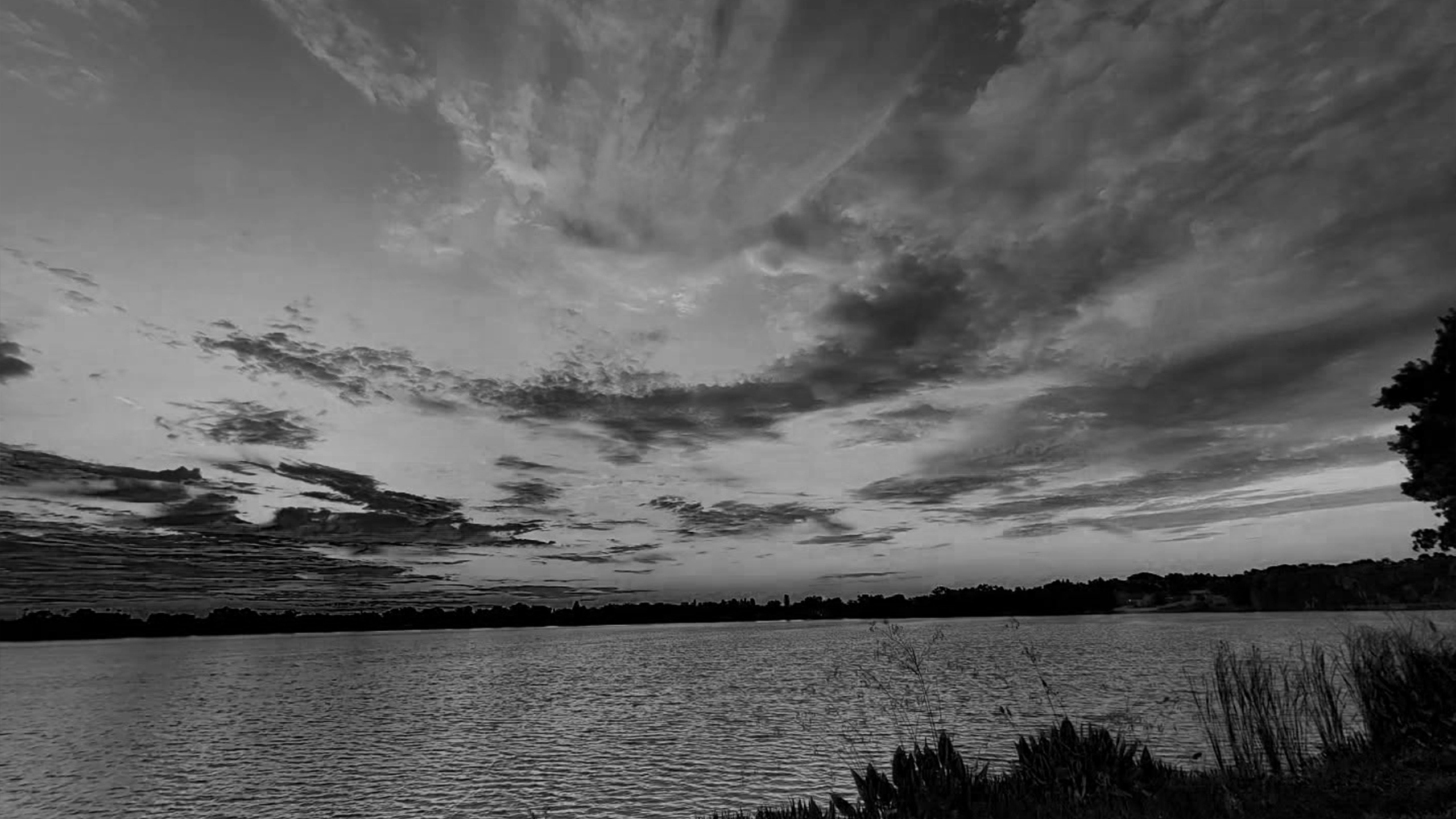 Black and white wide-angle photograph of Lake Martha under a dramatic, cloudy sunset sky, showing calm waters, a low tree-lined horizon, and natural shoreline grasses in the foreground.
